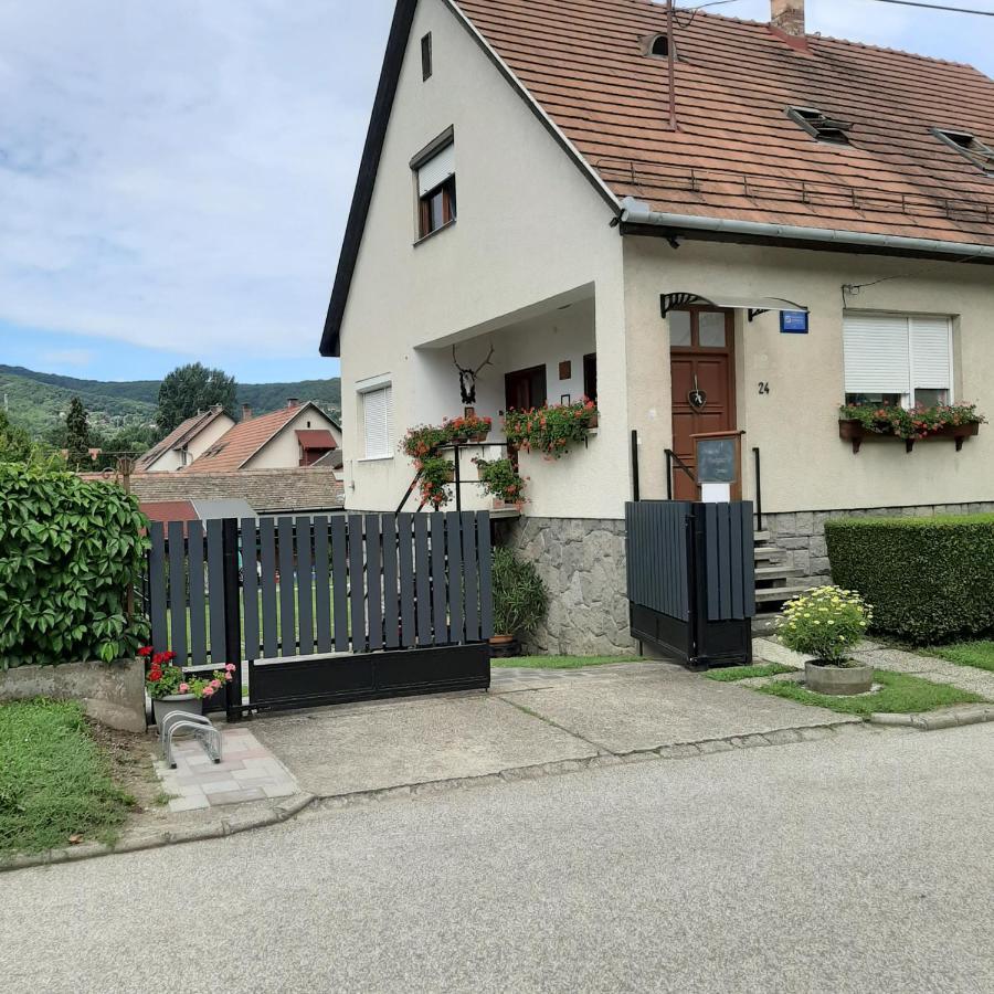 玫瑰小屋旅馆 维谢格拉德 外观 照片